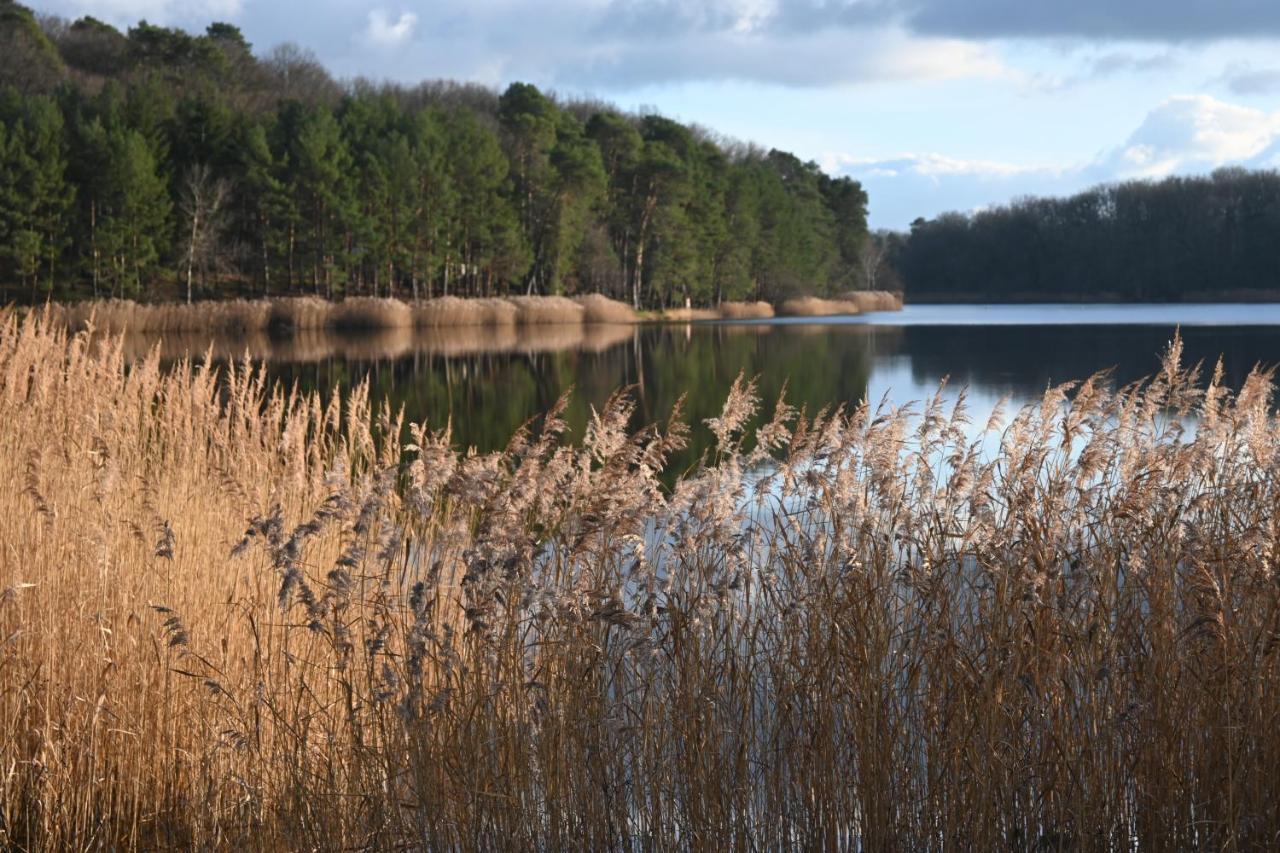 Aux 3 Forets Bizeneuille Zewnętrze zdjęcie