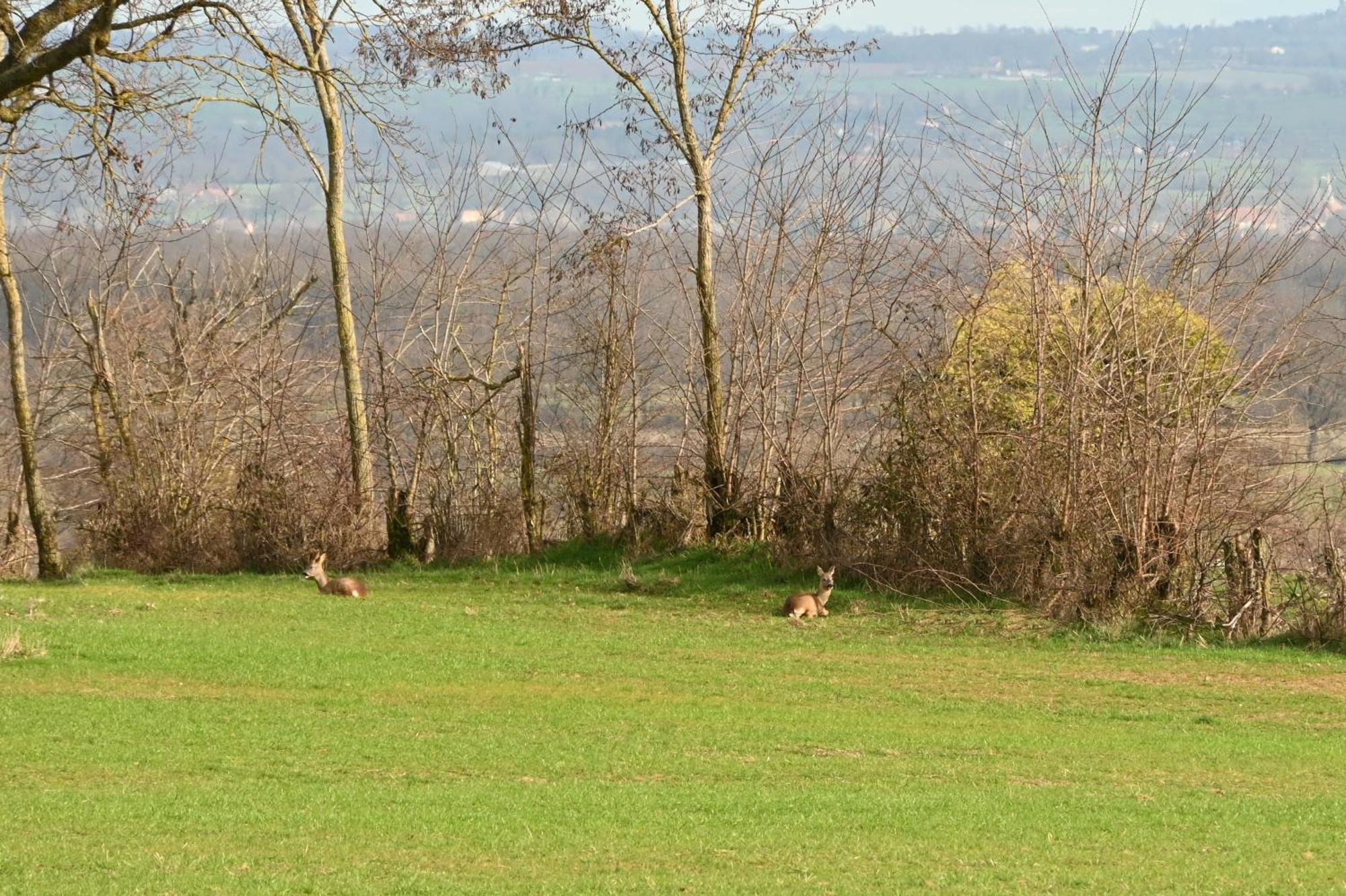 Aux 3 Forets Bizeneuille Zewnętrze zdjęcie